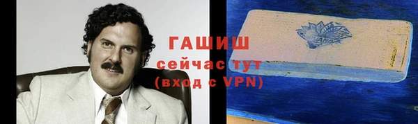 дмт Богданович