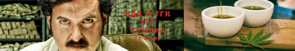 гидра Богородицк