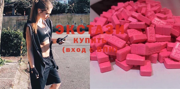 дмт Богданович
