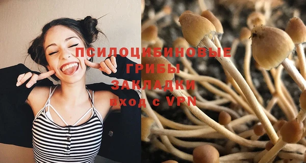 гидра Богородицк