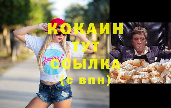 гидра Богородицк