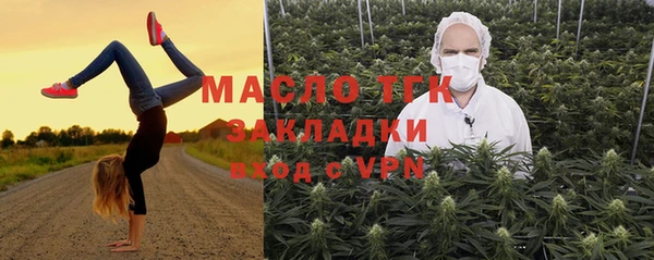 дмт Богданович