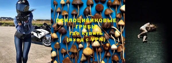 гидра Богородицк