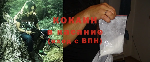 дмт Богданович