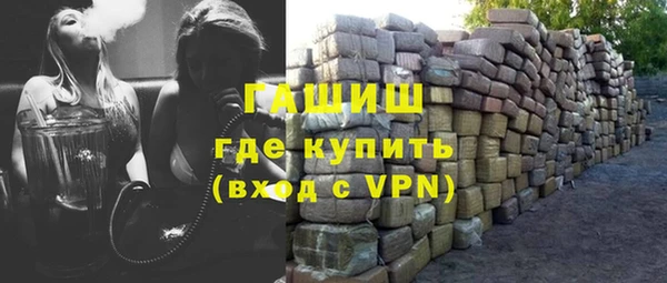 гидра Богородицк